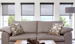 Various Types Of Roller Blinds: Find Your Perfect Window Solution